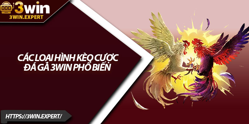 Đá Gà 3Win – Màn So Tài Đỉnh Cao Của Các Chiến Kê 3 Các loại hình kèo cược đá gà 3Win phổ biến