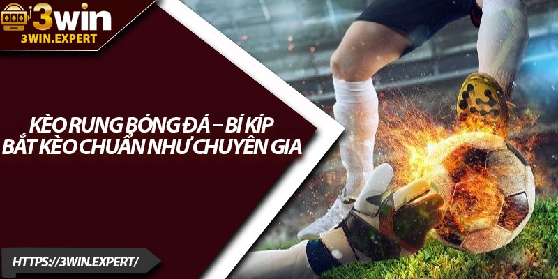 Kèo Rung Bóng Đá – Bí Kíp Bắt Kèo Chuẩn Như Chuyên Gia 1 Keo Rung Bong Da – Bi Kip Bat Keo Chuan Nhu Chuyen Gia