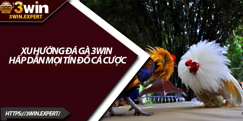 Xu Hướng Đá Gà 3Win – Hấp Dẫn Mọi Tín Đồ Cá Cược 2 Xu Huong Da Ga 3Win – Hap Dan Moi Tin Do Ca Cuoc